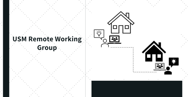 USM Remote Working Group Update
